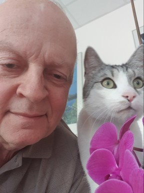 German men looking for love