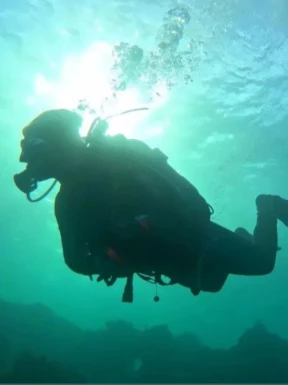 Spanish men looking for love